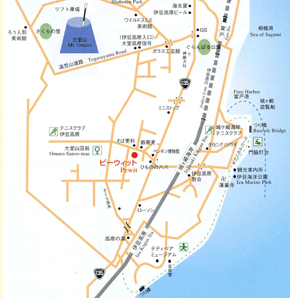 城ヶ崎海岸駅の周辺情報