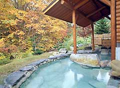 お風呂の写真を準備中です