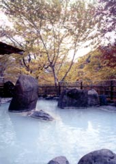 お風呂の写真を準備中です