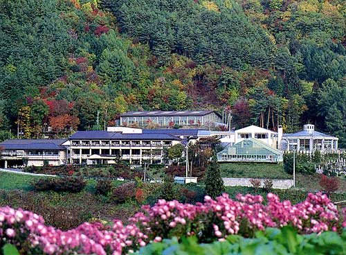 草湯温泉 保養センター 冠着荘のnull