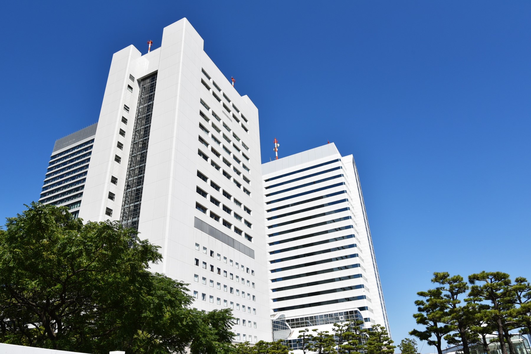 ベイサイドホテルアジュール竹芝・浜松町 image